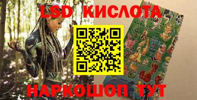 apvp Кингисепп