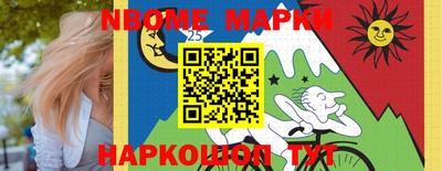 apvp Кингисепп