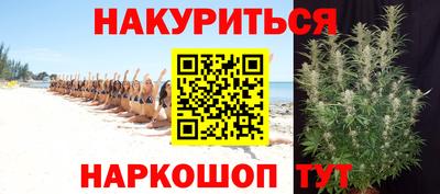 apvp Кингисепп
