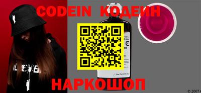 apvp Кингисепп