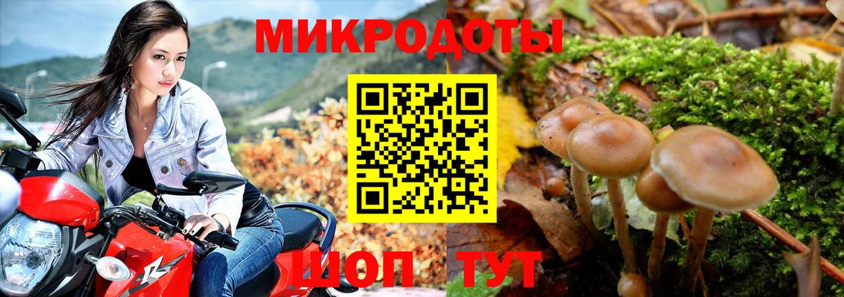 Железноводск  Галлюциногенные грибы Magic Shrooms  Галлюциногенные грибы Psilocybine cubensis  где продают наркотики  Вход с VPN 
